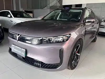 Voyah Auto FREE 2025