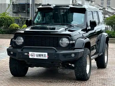 Tank 300 2024