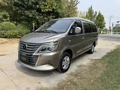 Dongfeng Fengxing Lingzhi 2024