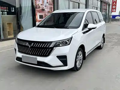 Wuling Motors Jiachen 2024