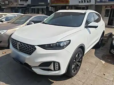 WEY VV6 2021
