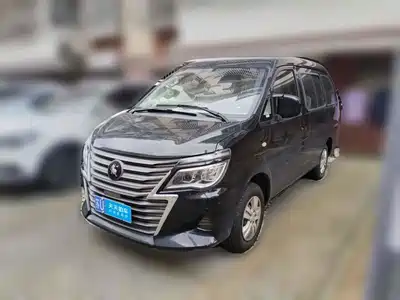 Dongfeng Fengxing Lingzhi 2024