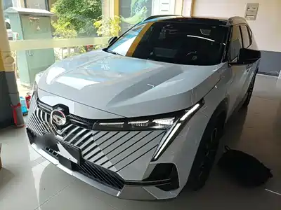GAC Trumpchi Yingku 2024