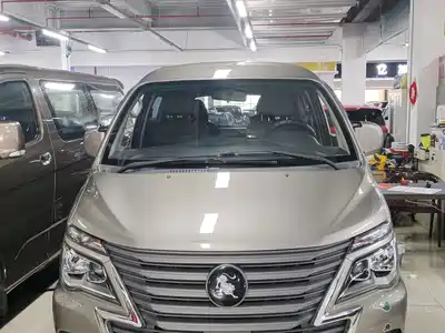 Dongfeng Fengxing Lingzhi 2024