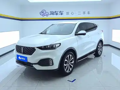 WEY VV6 2019