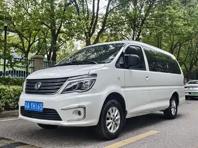 Dongfeng Fengxing Lingzhi 2018