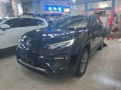 Toyota Wildlander 2024