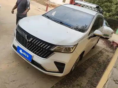Wuling Motors Jiachen 2024