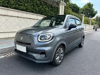 Leapmotor T03 2021