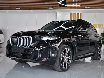 BMW X5 2024