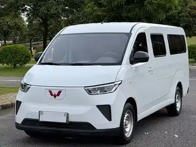 Wuling Motors Yangguang 2024