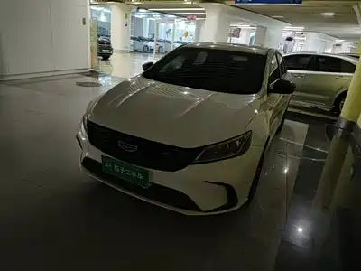 Geely Binrui 2021