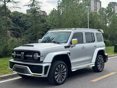 Crossboundary Auto Co-created Tank 300 2022