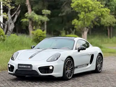 Porsche Cayman 2014