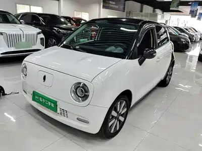Ora Black Cat 2021