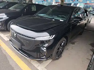 Voyah Auto Zhiyin 2025
