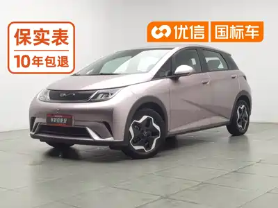BYD Dolphin 2022