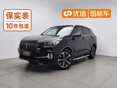 WEY VV6 2020