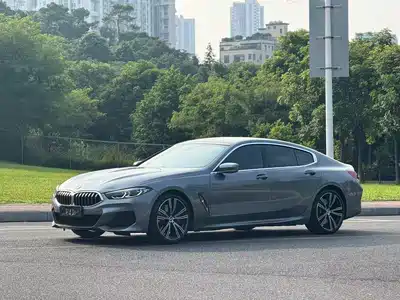 BMW 8 Series 2021