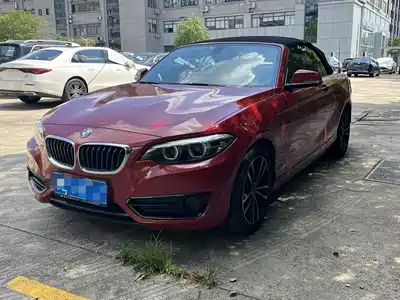 BMW 2 Series (Import) 2018