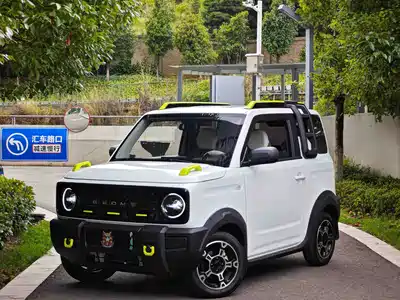 Geely Galaxy Panda 2024