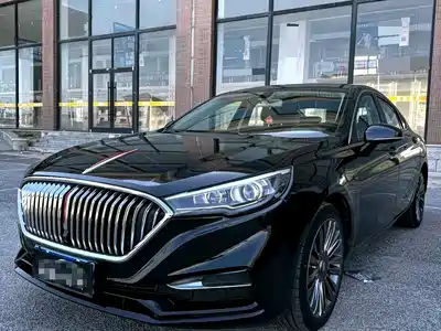 Hongqi H5 2020