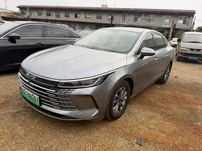 BYD Destroyer 05 2024