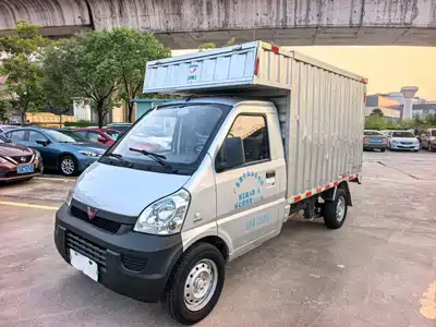 Wuling Motors Rongguang Mini Truck 2019