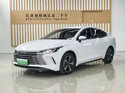 BYD Destroyer 05 2024