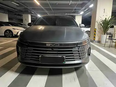 BYD Destroyer 05 2024