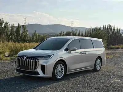 Voyah Auto Dreamer 2024