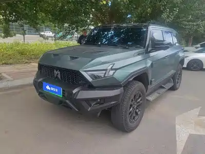 Mengshi 917 2023