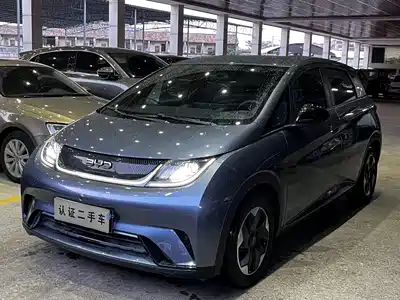 BYD Dolphin 2024