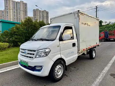 Ruichi New Energy EC31 2022