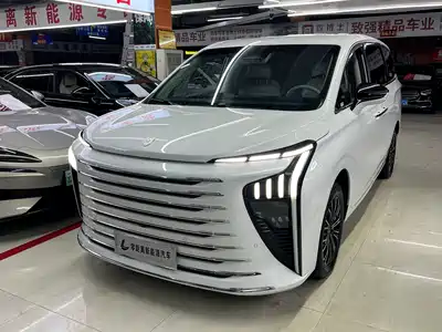 Dongfeng Fengxing Starlight V9 2024