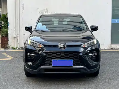 Toyota Wildlander 2020