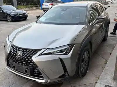 Lexus UX300e 2022