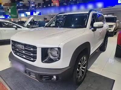 Haval Big Dog 2021