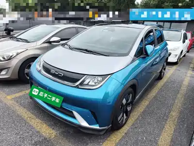 BYD Dolphin 2022
