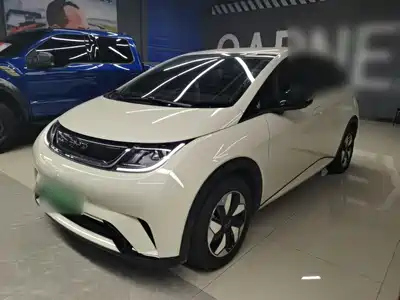 BYD Dolphin 2024