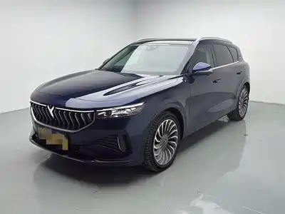 Voyah Auto FREE 2021