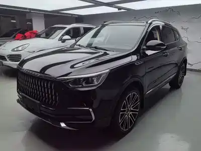 Leopaard Mattu 2019