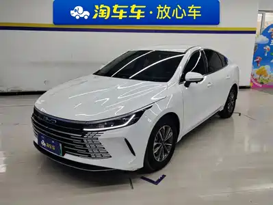 BYD Destroyer 05 2024