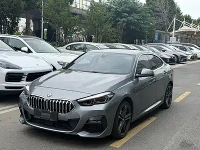 BMW 2 Series (Import) 2022