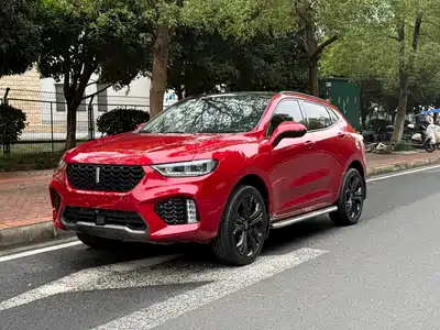WEY VV5 2019