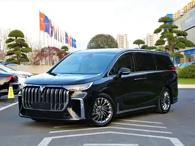 Voyah Auto Dreamer 2024