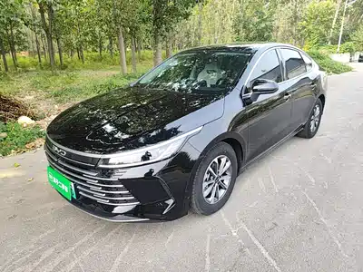 BYD Destroyer 05 2024