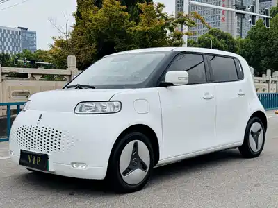Ora White Cat 2021