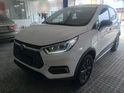 BYD Yuan New Energy 2020
