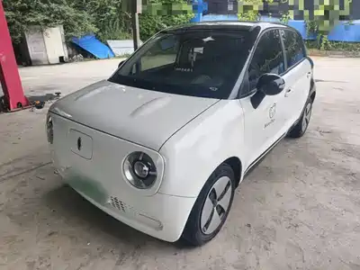 Ora Black Cat 2021